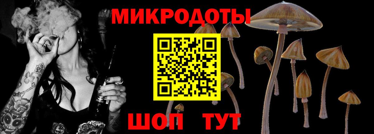 Галлюциногенные грибы MAGIC MUSHROOMS  Вход с VPN  Трёхгорный  Галлюциногенные грибы прущие грибы 